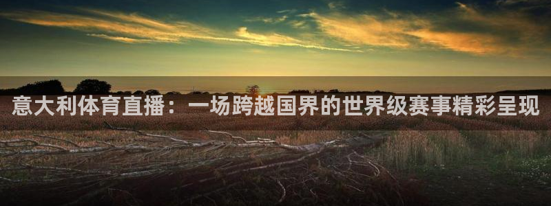 熊猫直播下载安装官方下载：意大利体育直播：一场跨越国界的世界级赛事精彩呈现