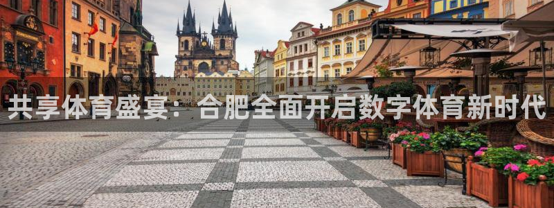 熊猫官网在线直播：共享体育盛宴：合肥全面开启数字体育新时代