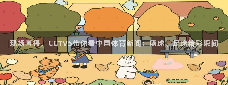 熊猫体育app：现场直播，CCTV5带你看中国体育新闻：篮球、足球精彩瞬间