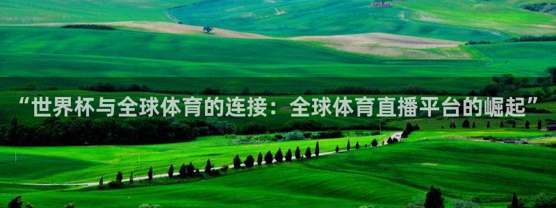 熊猫体育直播平台：“世界杯与全球体育的连接：全球体育直播平台的崛起”