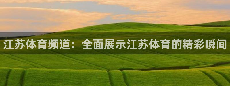 直播熊猫：江苏体育频道：全面展示江苏体育的精彩瞬间