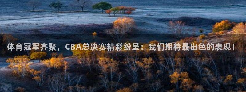 熊猫直播下载安装官方下载：体育冠军齐聚，CBA总决赛精彩纷呈：我们期待最出色的表现！