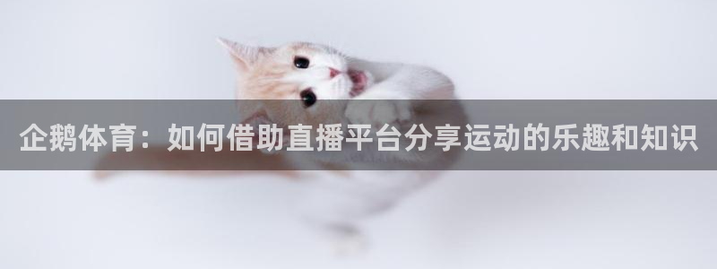 熊猫视：企鹅体育：如何借助直播平台分享运动的乐趣和知识