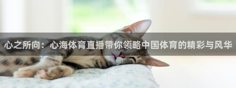 看直播熊猫：心之所向：心海体育直播带你领略中国体育的精彩与风华